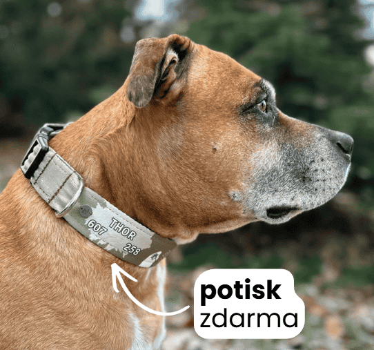 potsik-obojek